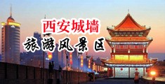 操大黑骚逼中国陕西-西安城墙旅游风景区